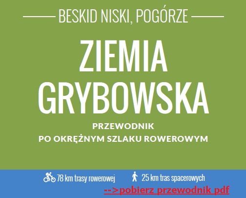 ziemia grybowska