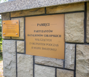 IX Pielgrzymka do kapliczki św. Jana w Wielkim Lesie 