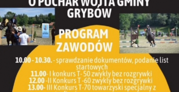 Plakat 3 Zawody w skokach przez przeszkody