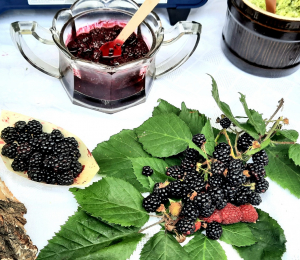 KGW Wyskitna na podium w Małopolskim Festiwalu Smaków