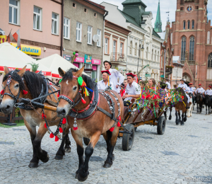 Dożynki Gminne 2022 za nami!