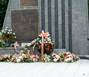 Obchody Święta Wojska Polskiego