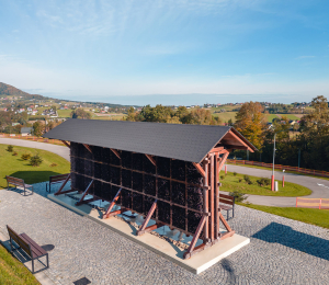 Park Linowy w Ptaszkowej – sport, adrenalina i zabawa w Gminie Grybów!
