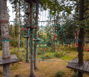 Park Linowy w Ptaszkowej – sport, adrenalina i zabawa w Gminie Grybów!