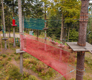 Park Linowy w Ptaszkowej – sport, adrenalina i zabawa w Gminie Grybów!