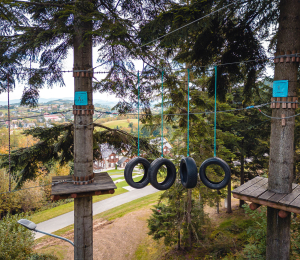 Park Linowy w Ptaszkowej – sport, adrenalina i zabawa w Gminie Grybów!