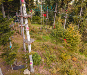 Park Linowy w Ptaszkowej – sport, adrenalina i zabawa w Gminie Grybów!