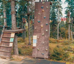 Park Linowy w Ptaszkowej – sport, adrenalina i zabawa w Gminie Grybów!