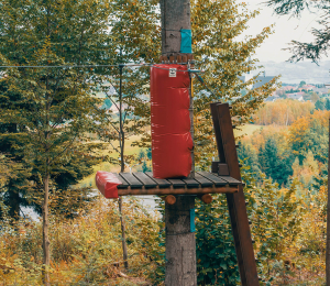 Park Linowy w Ptaszkowej – sport, adrenalina i zabawa w Gminie Grybów!