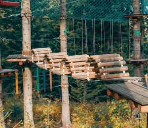 Park Linowy w Ptaszkowej – sport, adrenalina i zabawa w Gminie Grybów!