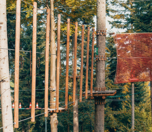 Park Linowy w Ptaszkowej – sport, adrenalina i zabawa w Gminie Grybów!