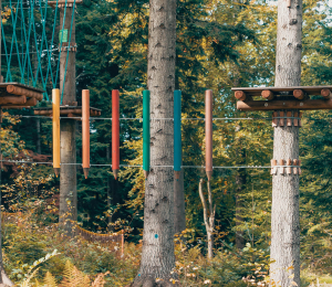 Park Linowy w Ptaszkowej – sport, adrenalina i zabawa w Gminie Grybów!