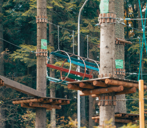 Park Linowy w Ptaszkowej – sport, adrenalina i zabawa w Gminie Grybów!