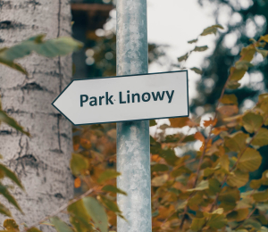 Park Linowy w Ptaszkowej – sport, adrenalina i zabawa w Gminie Grybów!
