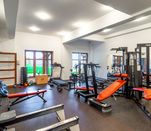 Park Linowy w Ptaszkowej – sport, adrenalina i zabawa w Gminie Grybów!