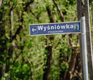 Ponad 150 tysięcy złotych na modernizację infrastruktury drogowej w Ptaszkowej
