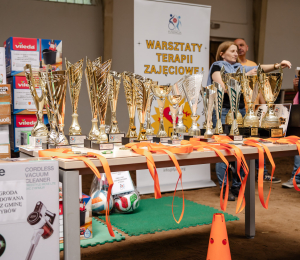XXVIII Letnia Zintegrowana Spartakiada Dzieci i Młodzieży Niepełnosprawnej w Stróżach